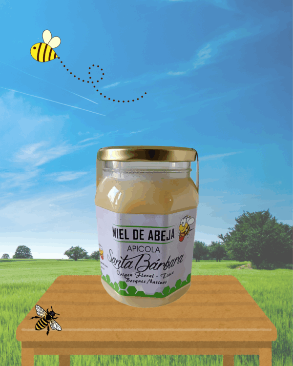 Miel de abeja - Origen Floral - Kilo