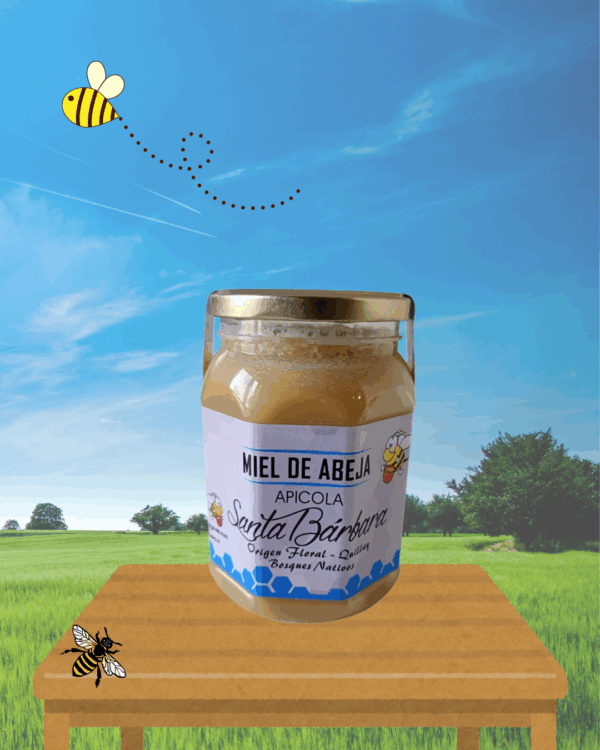 Miel de abeja - Origen Floral - Kilo - Imagen 3