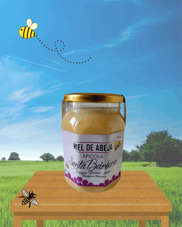 Miel de abeja - Origen Floral - Kilo - Imagen 2