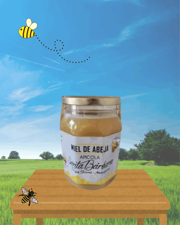 Miel de abeja - Origen Floral - Kilo - Imagen 5